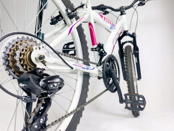 tani rower mtb 24