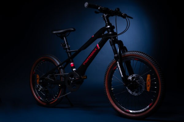 Rower dziecięcy 20" GERMINA mtb górski dla chłopca z przerzutką Shimano - obrazek 2